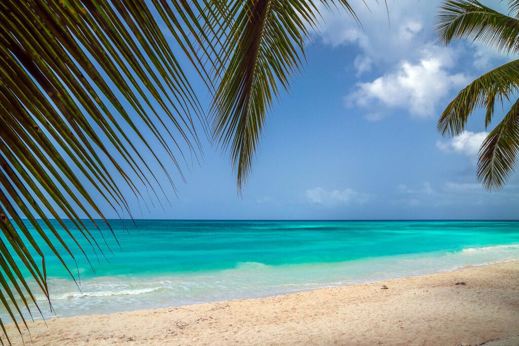 Astuto Travel Offers Fun in The Sun