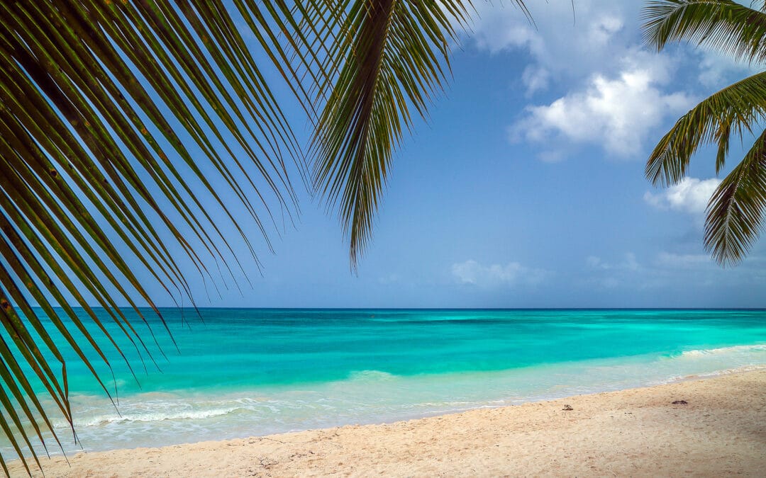 Astuto Travel Offers Fun in The Sun