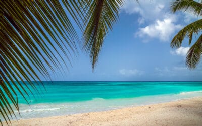 Astuto Travel Offers Fun in The Sun