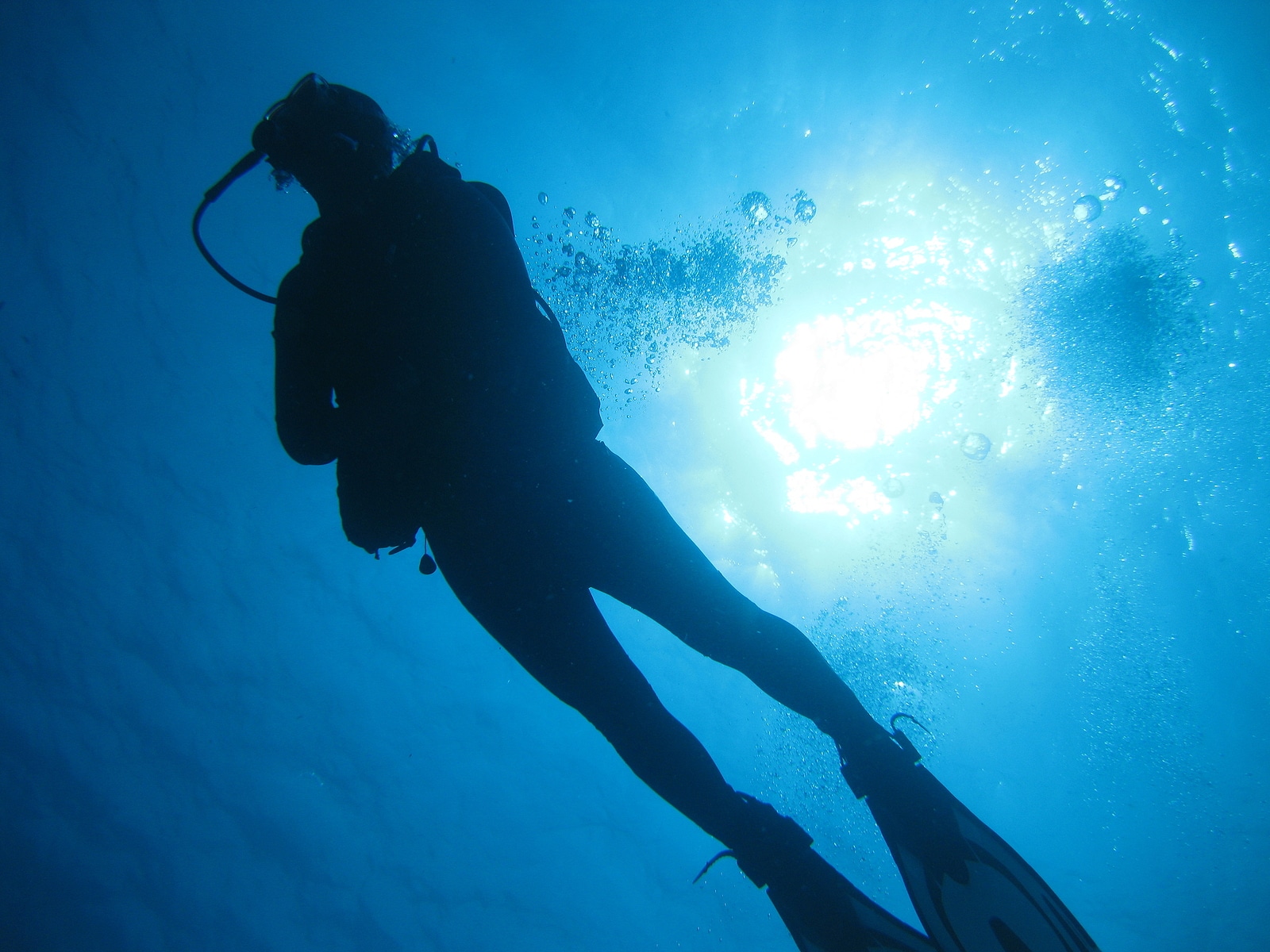A scuba diver by Astuto Travel