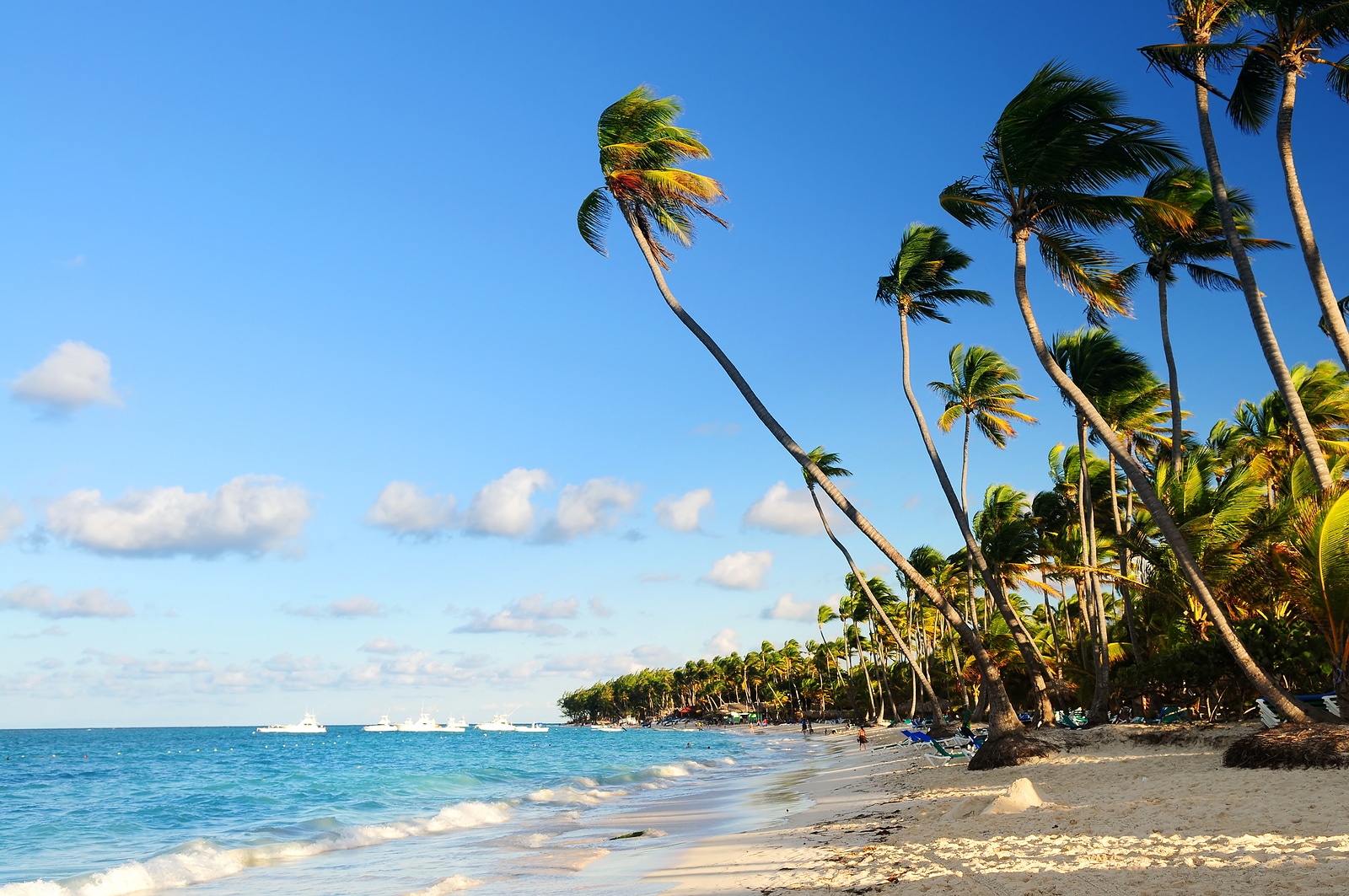 Tropical Beach with Astuto Travel