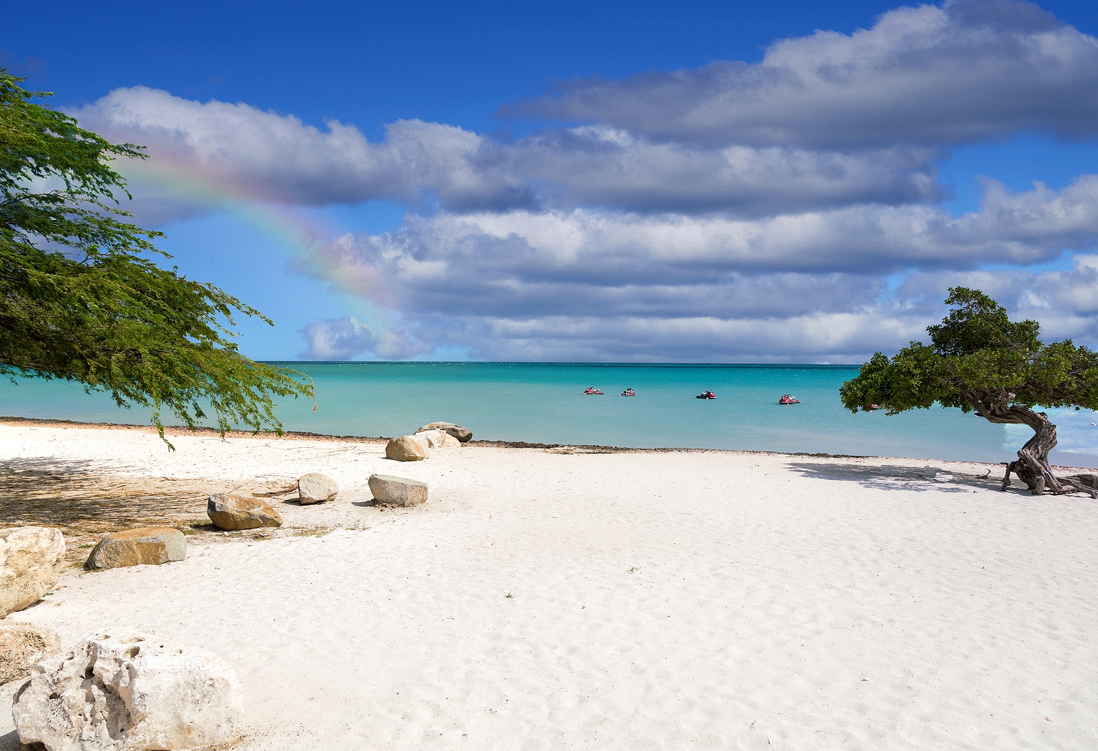 Idyllic views of a beach on Aruba, Astuto travel