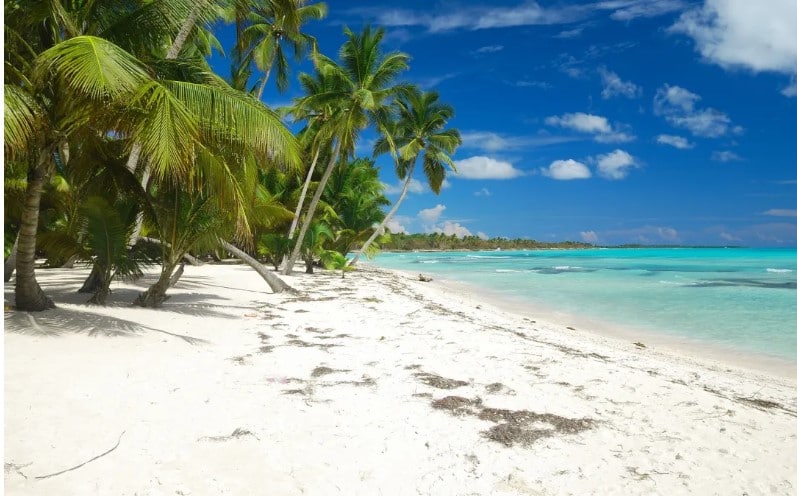 vacaciones en república dominicana todo incluido, paquetes a república dominicana 2022, paquetes a república dominicana, viajes a república dominicana punta cana, viajes a república dominicana todo incluido desde méxico, viaje a república dominicana precio, república dominicana avion y hotel, vuelos a república dominicana, astuto travel
